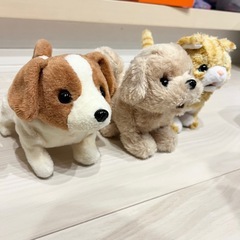 動くおもちゃの画像