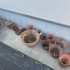 鉢　ガーデニング　植木鉢　庭の画像