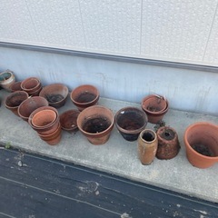 鉢　ガーデニング　植木鉢　庭の画像