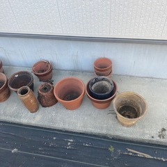 鉢　ガーデニング　植木鉢　庭の画像