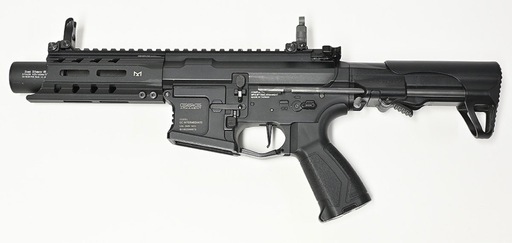 G&G ARP556 カスタム費用3万超え (PERUN ETU++など) 電動ガン
