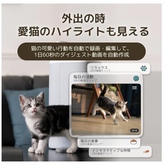 猫用スマート見守りロボット 自動給餌器 AIカメラ レーザー猫じゃらしの画像