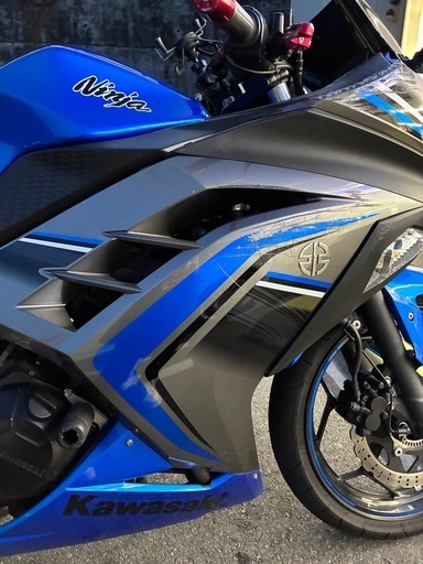 バイク NINJAEX250L