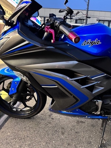 バイク NINJAEX250L