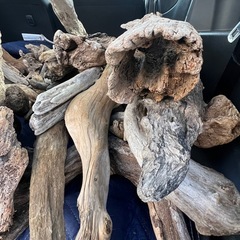 【選べる流木】大小さまざま！200円〜／まとめ買い歓迎      の画像