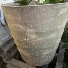 園芸ポットの画像