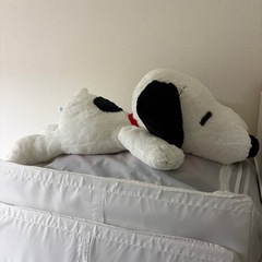 ぬいぐるみの画像