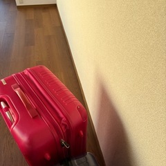 3辺の和158センチ程度の大きなスーツケースの画像