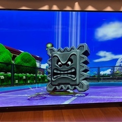 TH-55EZ950 55インチ パナソニック ビエラの画像