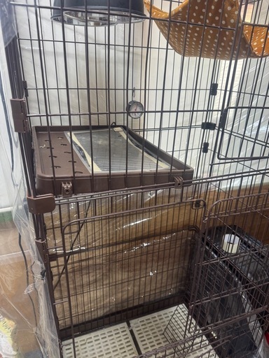 爬虫類、猫ケージ