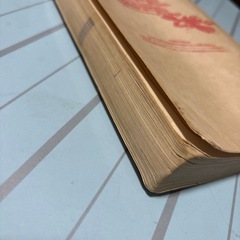 ポケモンずかん 任天堂公式ガイドブック ルビーサファイアの画像