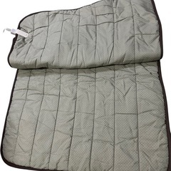 洗えるどこでも電気カーペットの画像