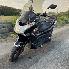 PCX JF28の画像