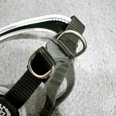 【トレポンティ Tre Ponti】　ハーネス　リードの画像