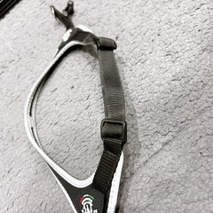 【トレポンティ Tre Ponti】　ハーネス　リードの画像