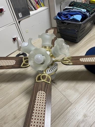 シーリングファンライト