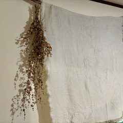 約90cm ユーカリドライフラワースワッグ
の画像