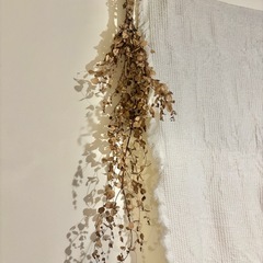 約90cm ユーカリドライフラワースワッグ
の画像