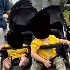 双子ベビーカーの画像