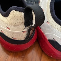 PUMAのゴルフシューズ28.5cmの画像