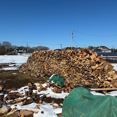薪販売　広葉樹　300kの画像