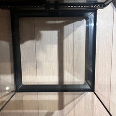 爬虫類ゲージ　グラステラリウム HYDRA　3133の画像