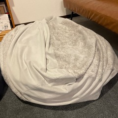 ビーズクッションの画像