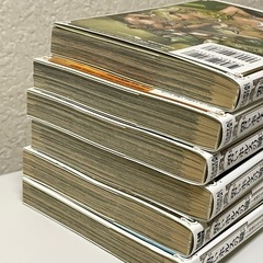 碧いホルスの瞳1巻〜6巻セット【JR三鷹駅／1000円】の画像