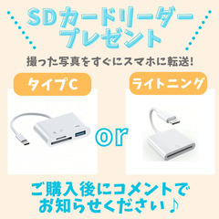 【使用感少美品】Nikon D5200　スマホ転送　自撮り　バリアングル液晶の画像