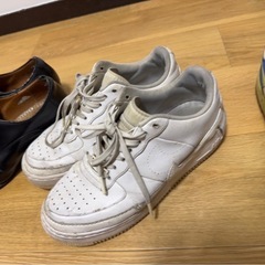 NIKEダンクゴルフシューズ、NIKEジェスターリーガル911r
の画像