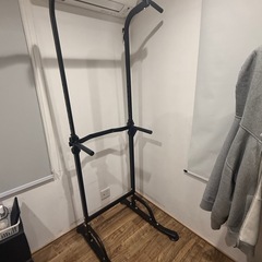 懸垂　WASAI(ワサイ) 懸垂マシンの画像