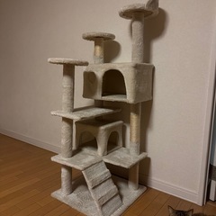 キャットタワーの画像
