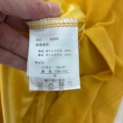 テロテロ素材のシャツの画像