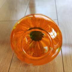 ガラスのかぼちゃの画像