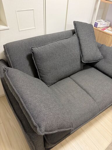 Koala Cushy Sofa Bed