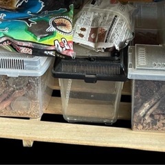 中古 飼育ケース  土 水素 まとめ売りの画像