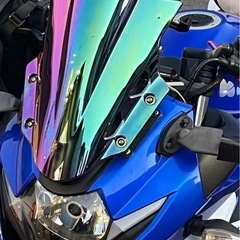 Suzuki GSX250R 愛知県名古屋市　美車　エンジン好調　　の画像