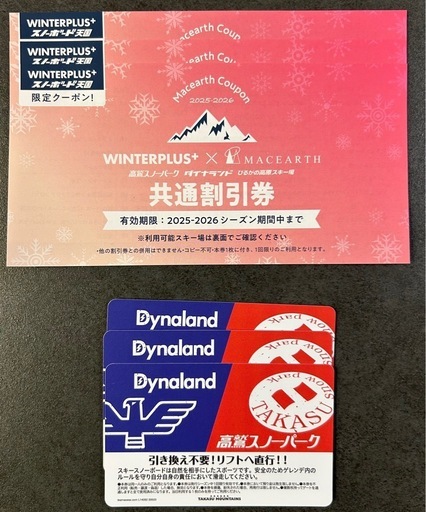 施設利用券 Dynaland 高鷲スノーパーク リフト券 ダイナランド 2枚
