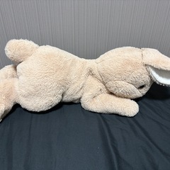 うさぎ  ぬいぐるみの画像