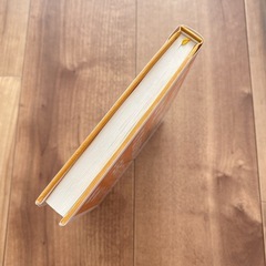 先着順採用、会議自由参加で世界一の小企業をつくったの画像