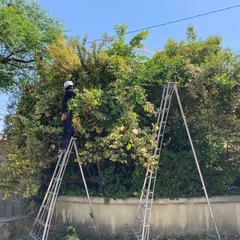 草刈り・剪定お任せください