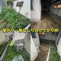 座間市　草刈り・伐採・防草シート施工など承ります。