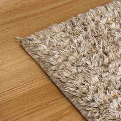 ニトリ　ラグ　長方形の画像