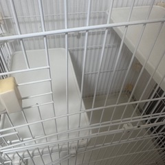 猫ゲージ2段の画像