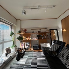 ディスプレイ収納の画像