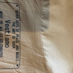 薄手コートの画像