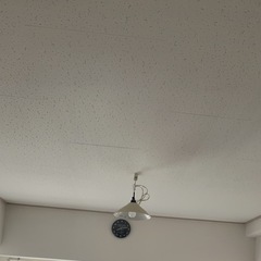 電気ライト、3月12日以降の引き渡しの画像