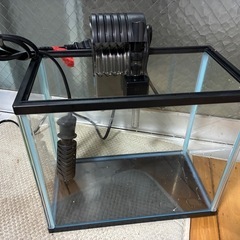 3/2⑪すぐ使える水槽セットの画像