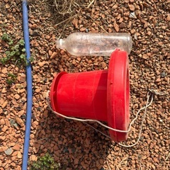 鶏のエサ　ケースの画像