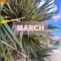 3月 エアエク増毛初回割引キャンペーンのお知らせ♥